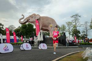 BIB: 
                            <button type="button" onclick="openModal(26528456)" class="btn btn-primary btn-sm float-right btn-popup" data-toggle="modal" data-target=".modal-high-quality">
                        <i class="fas fa-shopping-cart"></i> Add to Cart
                    </button>
                                            <button type="button" onclick="isThisMe(26528456, true)" class="btn btn-success btn-sm float-right btn-popup btn-isme hidden" data-toggle="tooltip" data-placement="bottom" title="นี่คือรูปของคุณใช่ไหม คลิกที่นี่เพื่อเอาเข้าอัลบั้ม">
                        <i class="fas fa-plus"></i> Add to album
                    </button>
                    <button type="button" onclick="isThisMe(26528456, false)" class="btn btn-warning btn-sm float-right btn-popup btn-isnotme hidden">
                        <i class="fas fa-ban"></i> Remove from album
                    </button>